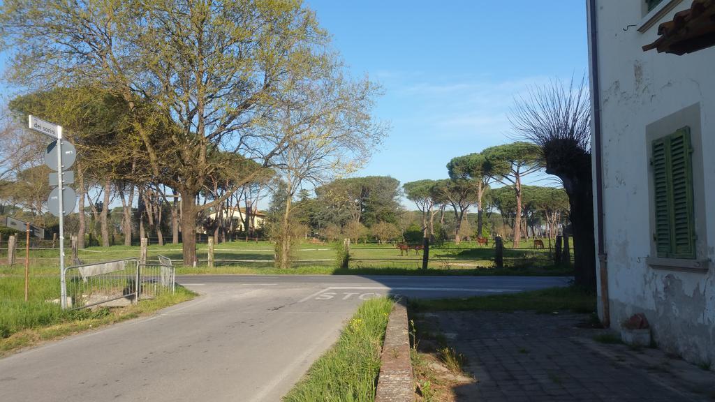 Ulivo Della Querce Villa Querce  Kültér fotó
