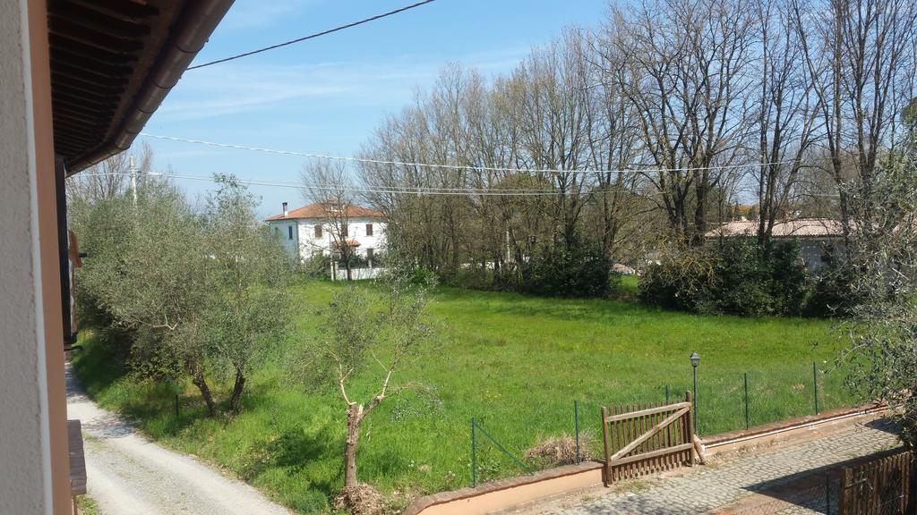 Ulivo Della Querce Villa Querce  Kültér fotó