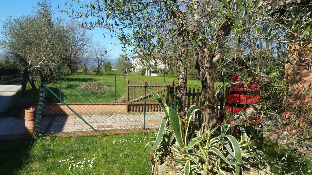 Ulivo Della Querce Villa Querce  Kültér fotó